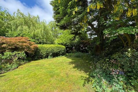 front garden 1