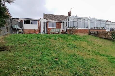 rear garden--