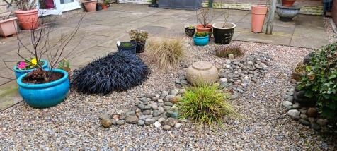 garden 1