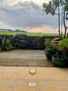 back garden. 