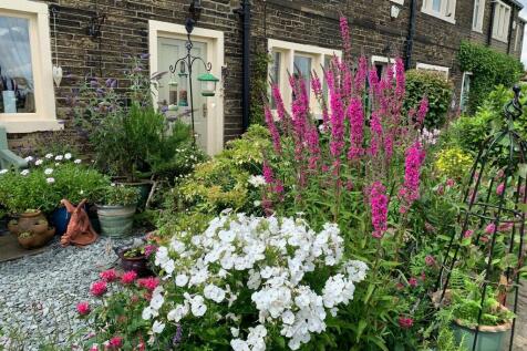 Garden 2