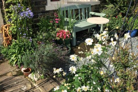 Garden 4