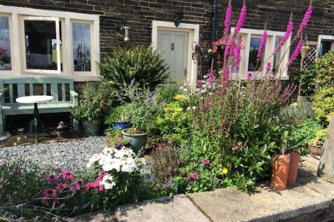 Garden 5