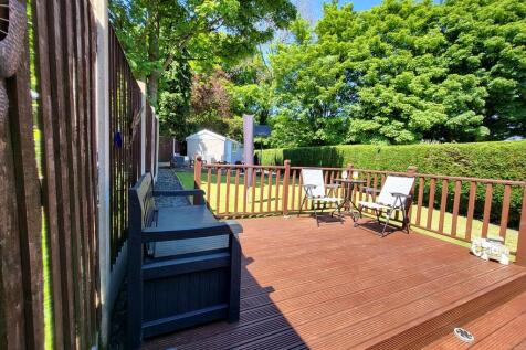 back garden 1
