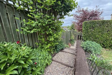 garden 4