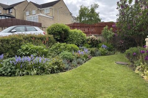 front garden 1