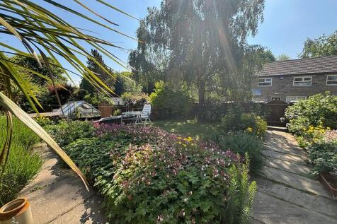 garden 7