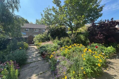 garden 8