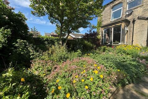 garden 4