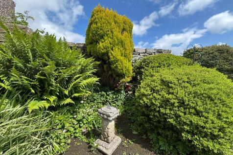 garden 1