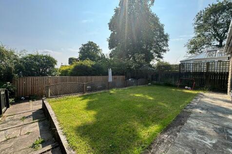 back garden 