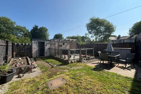 back garden 2