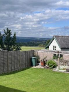 back garden new