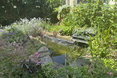 pond