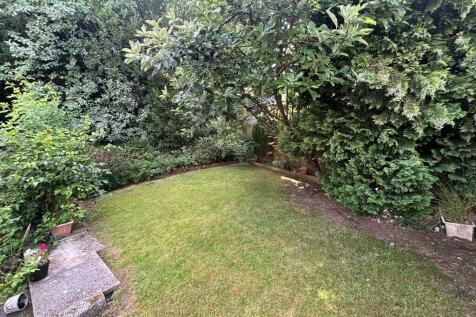 back garden 1