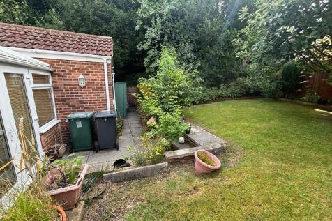 back garden