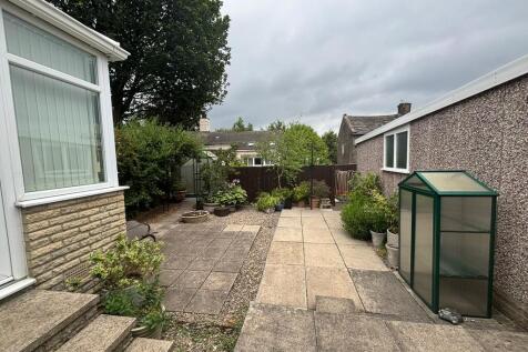 back garden 2