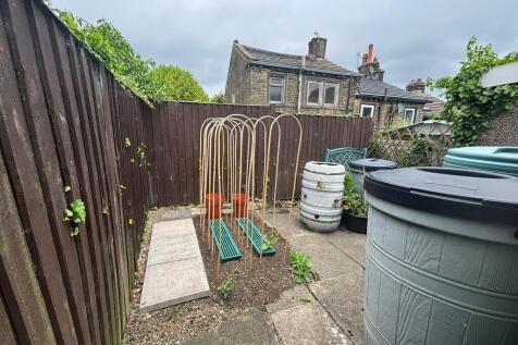 back garden 