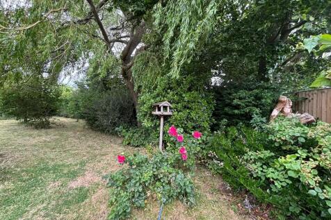 garden 1