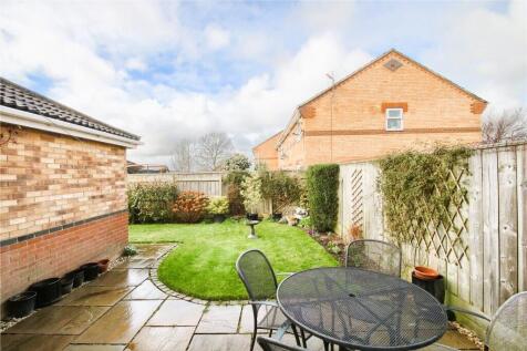 Back Garden