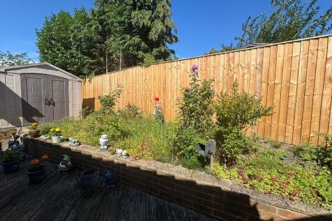 back garden 1