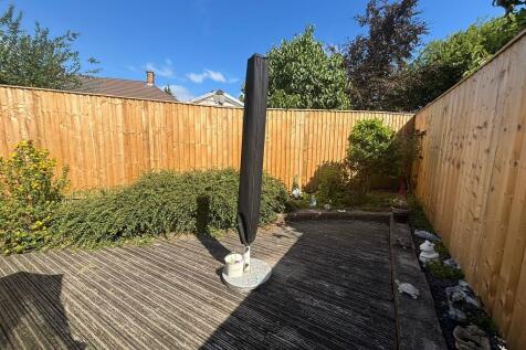 back garden 3