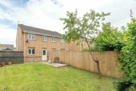 hopefield back