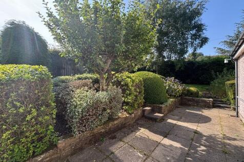back garden