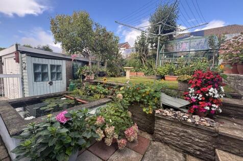 garden 3