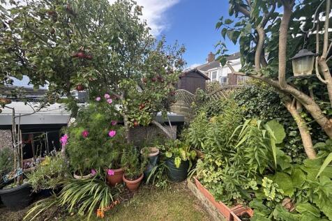 garden 1