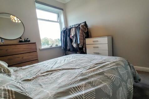 IMG_20241004_1549...