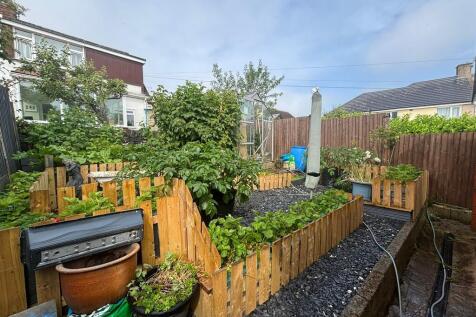 garden 5