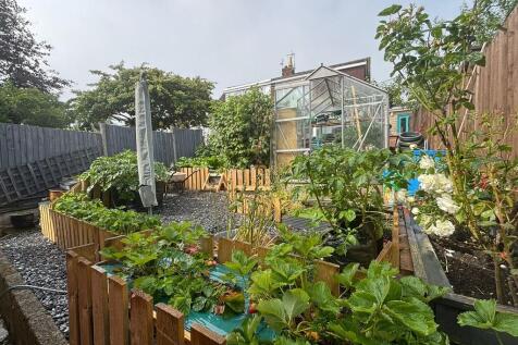 garden 4