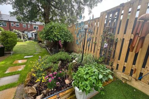 garden 6