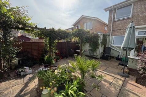 new garden 5