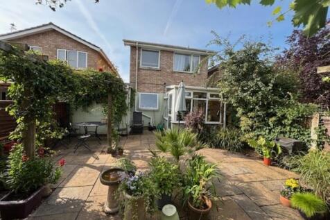 NEW GARDEN 3