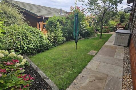 Back Garden