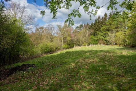 Extensive Grounds