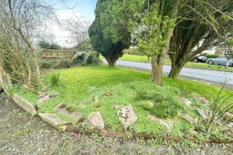Front Grass Area