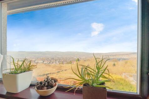Kitchen View