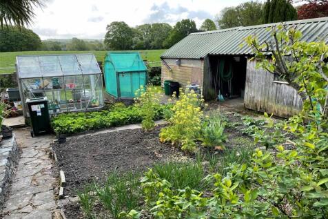 Veg Plot