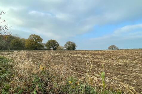 Surrounding Field