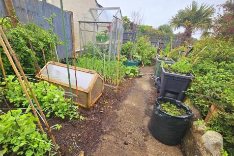 Veg Plot &amp;greenhouse