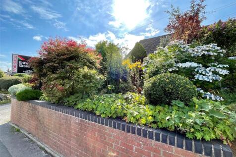 Front Wall &amp; Plantin