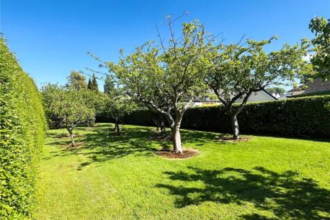 Orchard