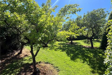 Orchard