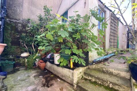 Garden and Garage