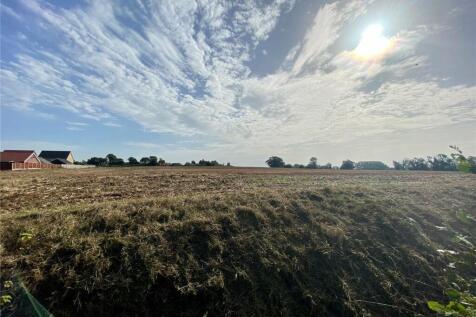 Field Views