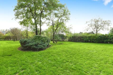 Communal Garden