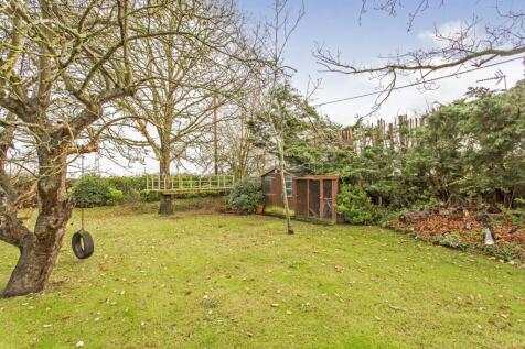 Established Garden